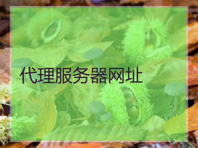 代理服务器网址