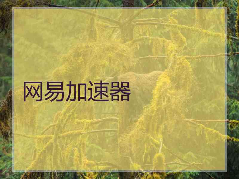 网易加速器