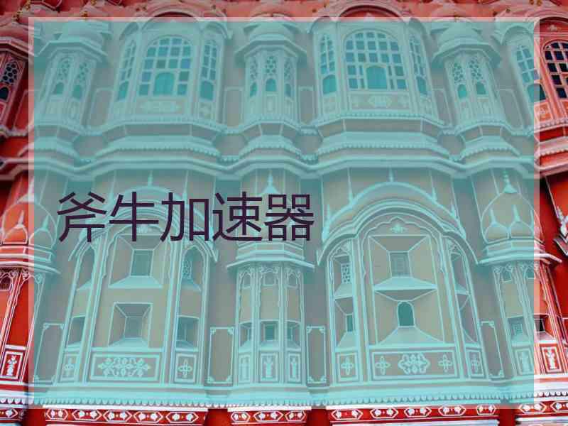 斧牛加速器