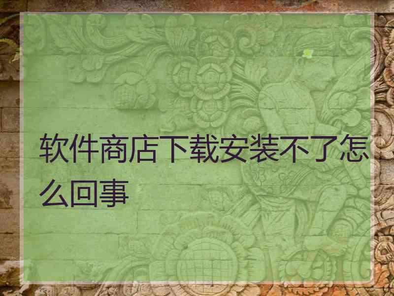 软件商店下载安装不了怎么回事