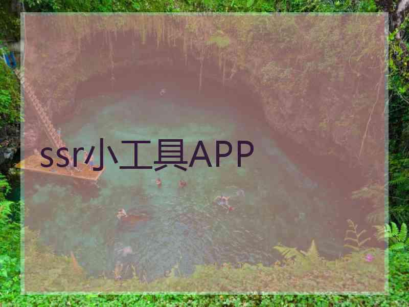 ssr小工具APP