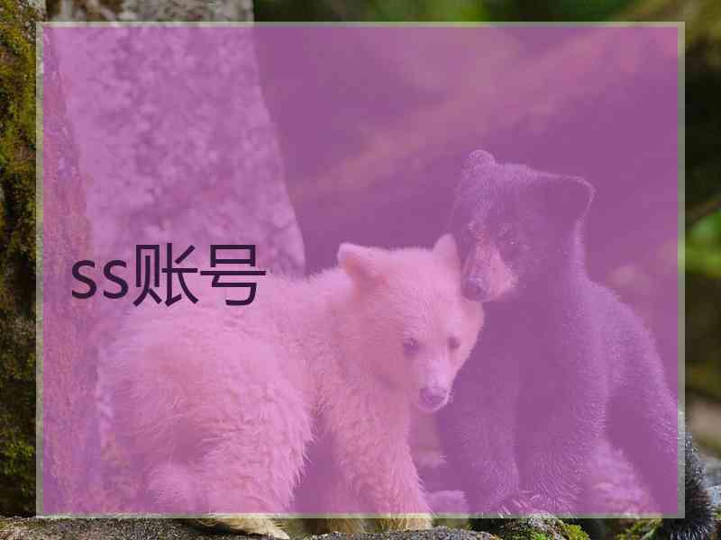 ss账号