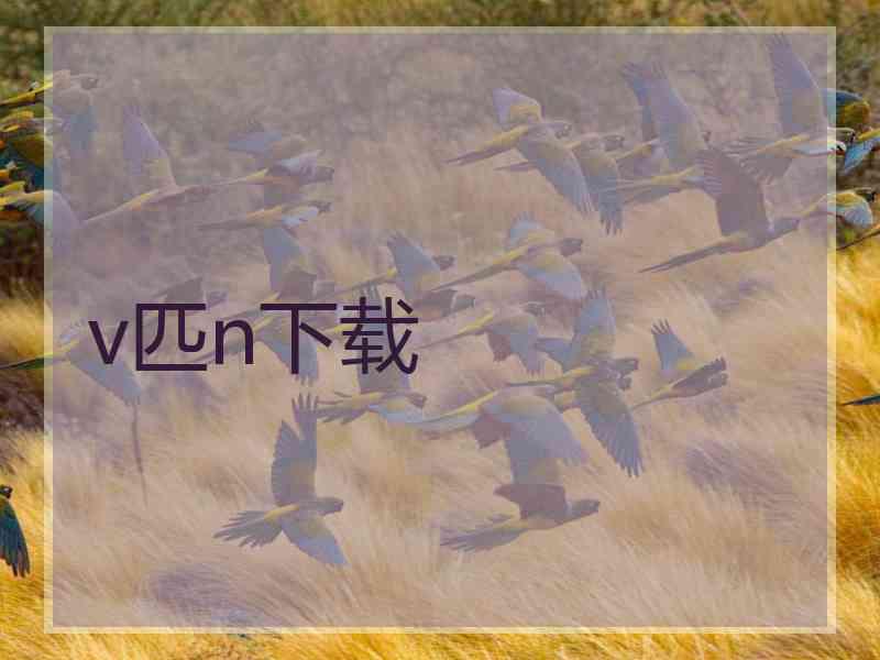 v匹n下载