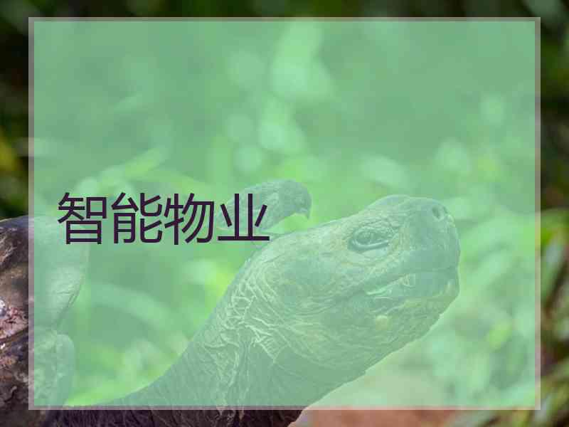 智能物业