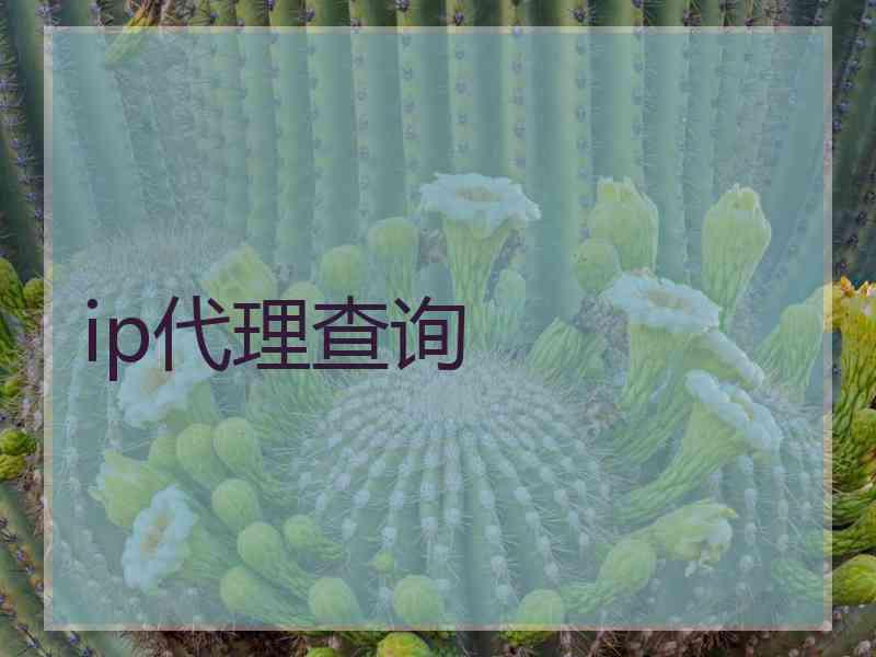 ip代理查询