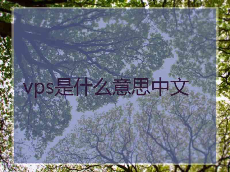 vps是什么意思中文