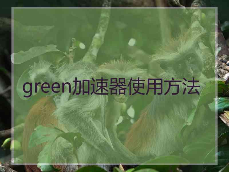 green加速器使用方法