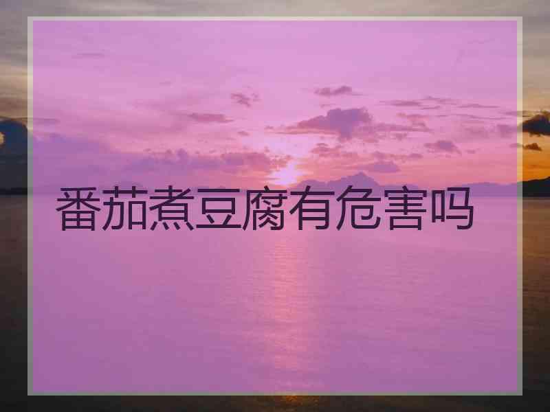 番茄煮豆腐有危害吗
