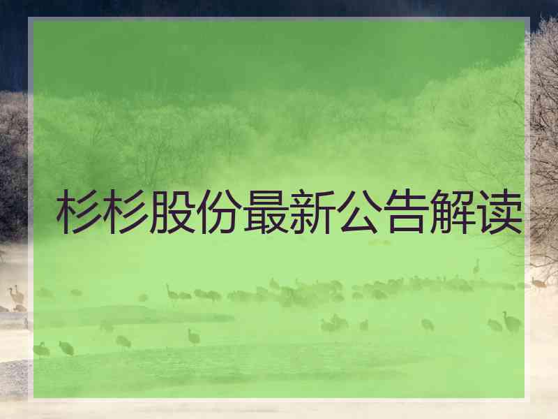 杉杉股份最新公告解读