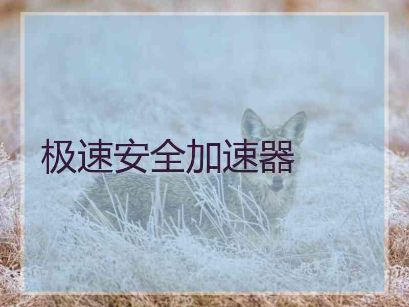 极速安全加速器