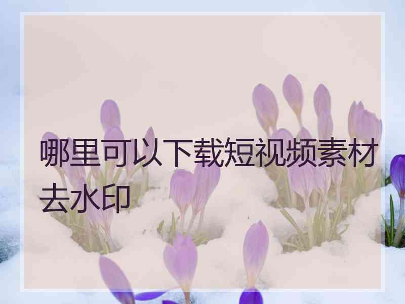 哪里可以下载短视频素材去水印