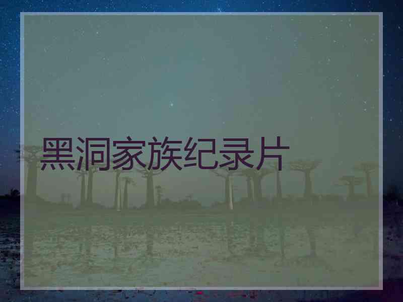 黑洞家族纪录片