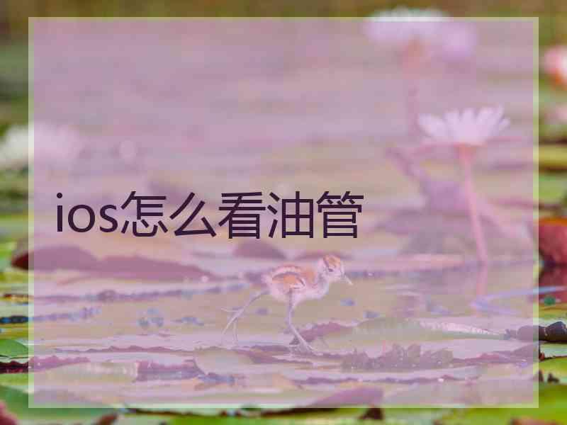 ios怎么看油管