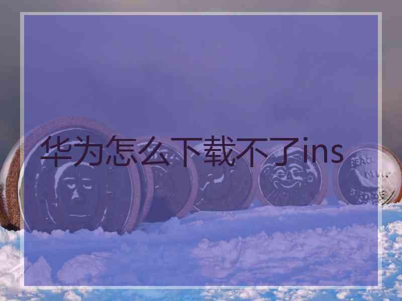 华为怎么下载不了ins