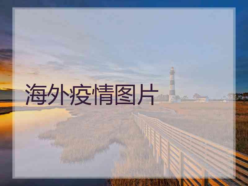 海外疫情图片