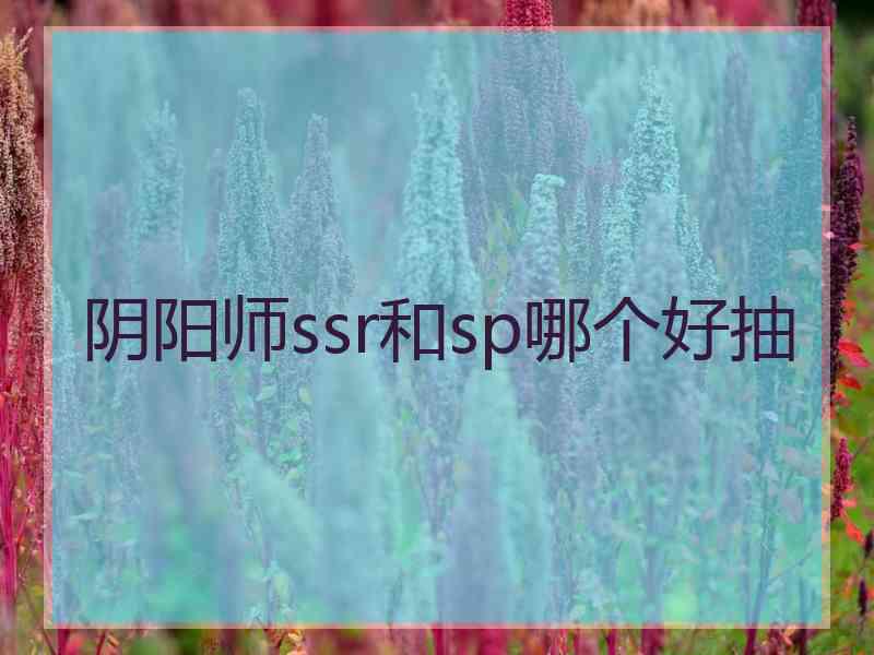 阴阳师ssr和sp哪个好抽