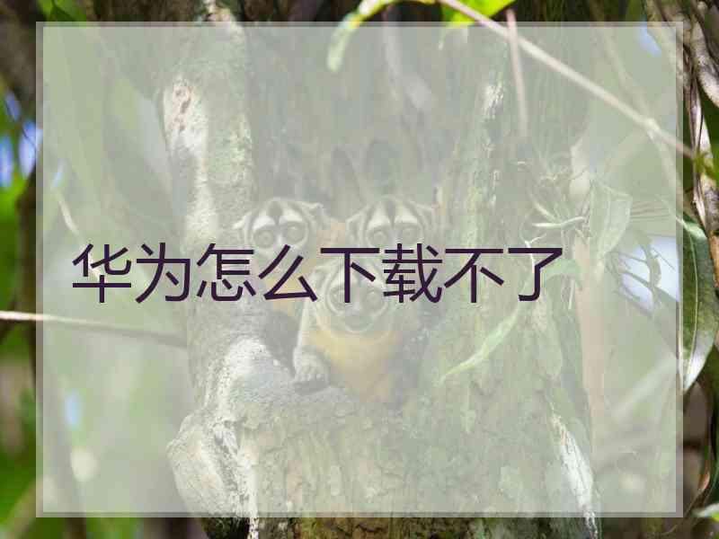 华为怎么下载不了