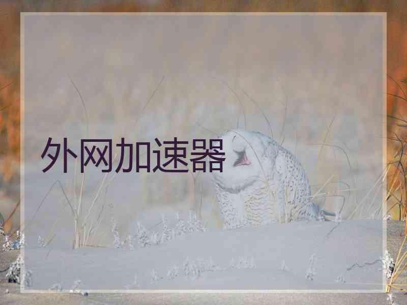 外网加速器