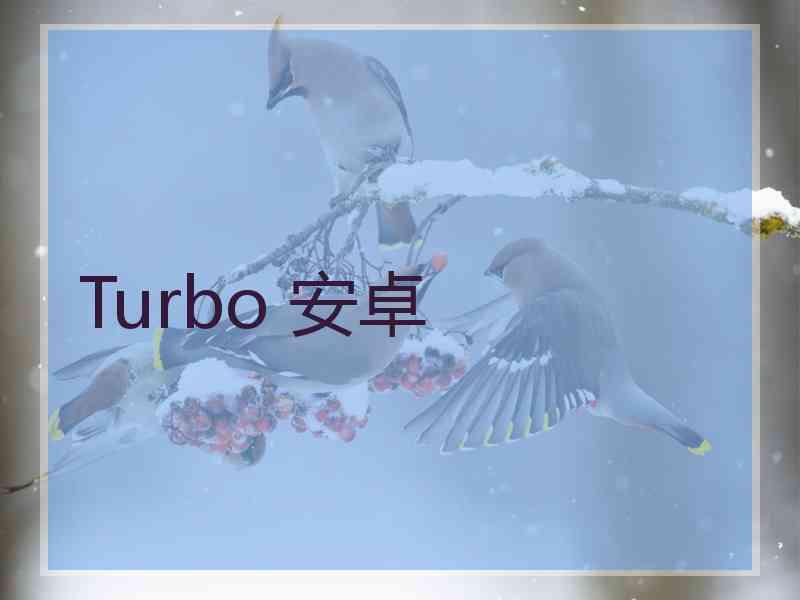 Turbo 安卓