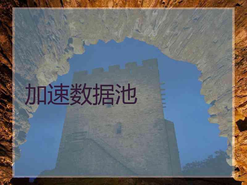 加速数据池