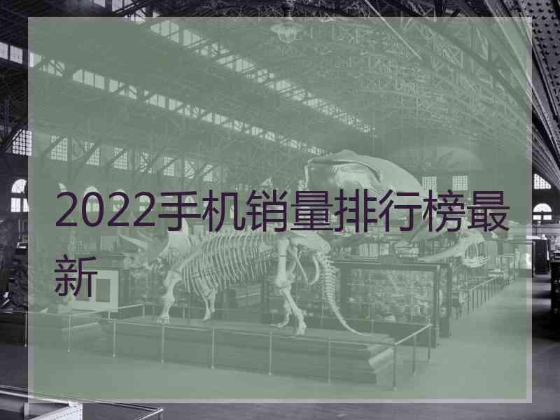 2022手机销量排行榜最新