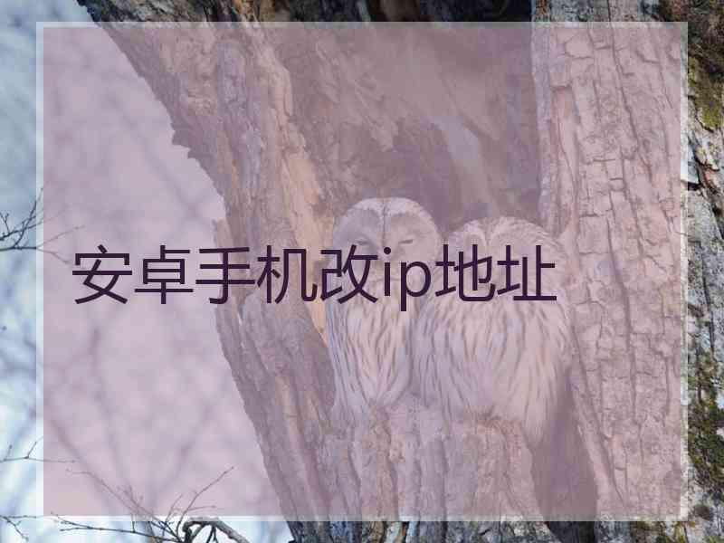 安卓手机改ip地址