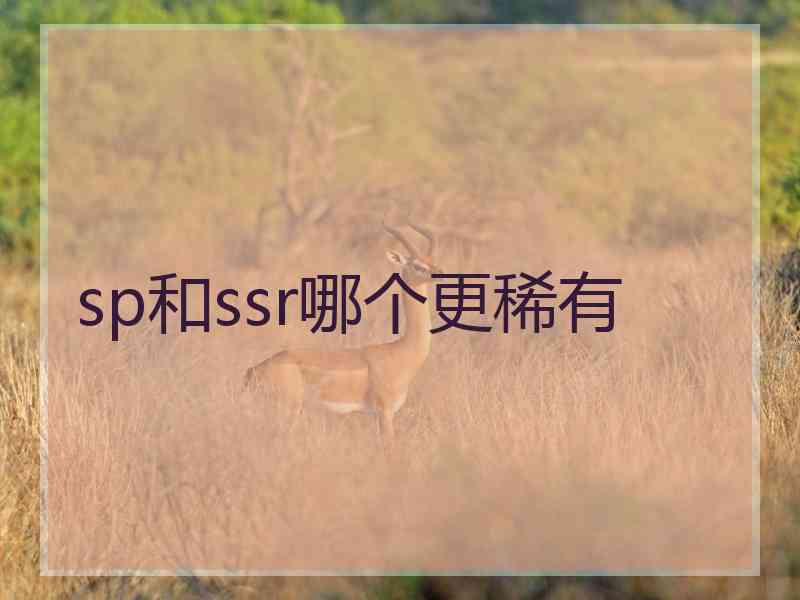 sp和ssr哪个更稀有