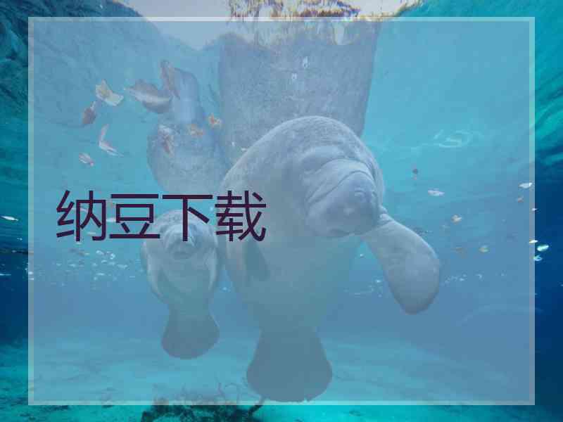 纳豆下载