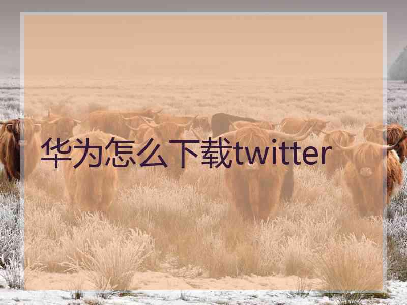 华为怎么下载twitter