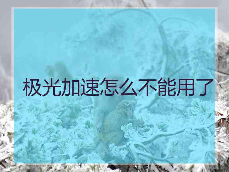 极光加速怎么不能用了