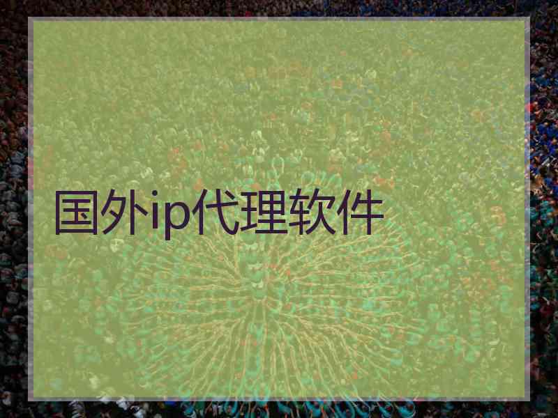国外ip代理软件