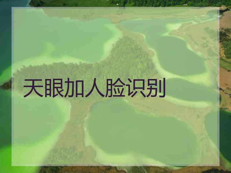 天眼加人脸识别
