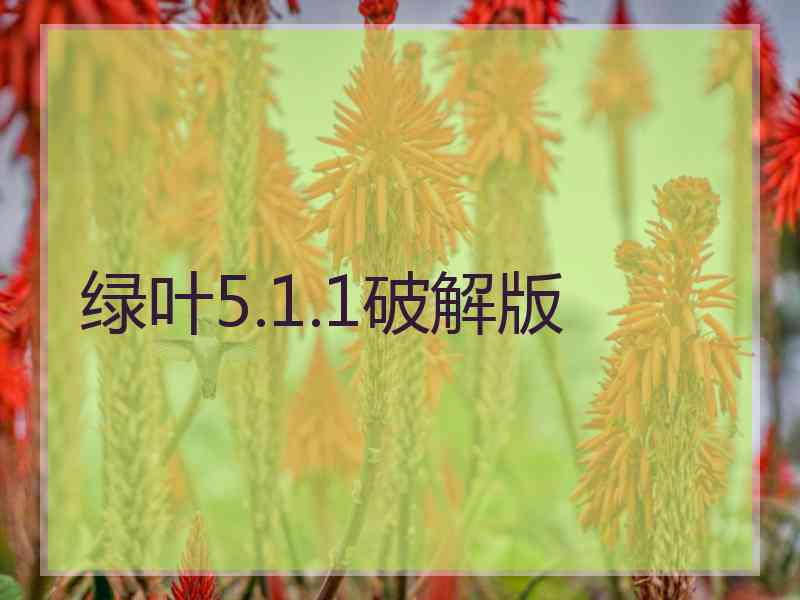 绿叶5.1.1破解版