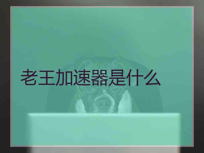 老王加速器是什么
