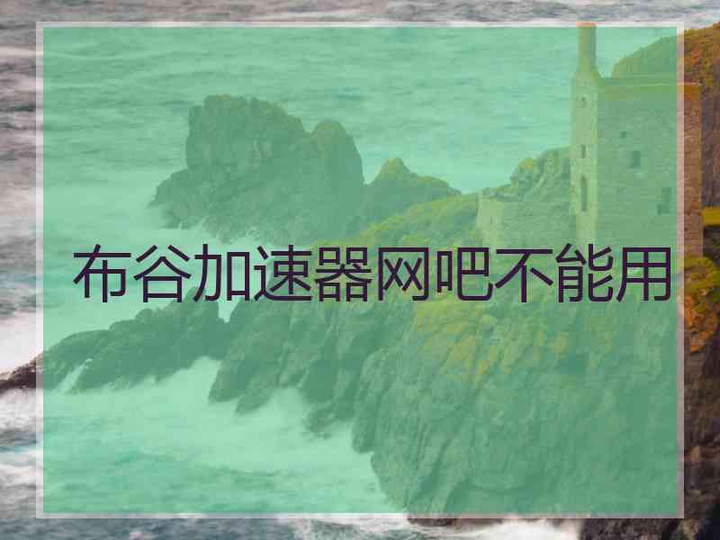 布谷加速器网吧不能用
