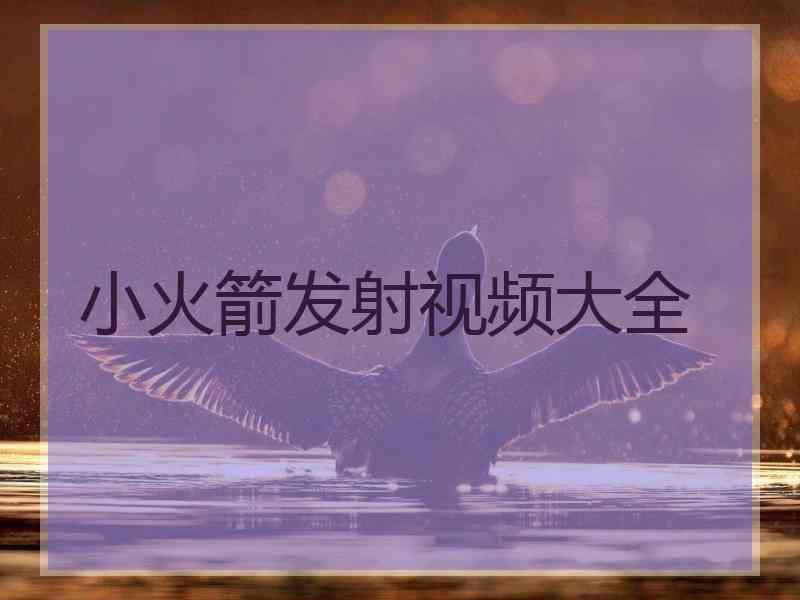 小火箭发射视频大全