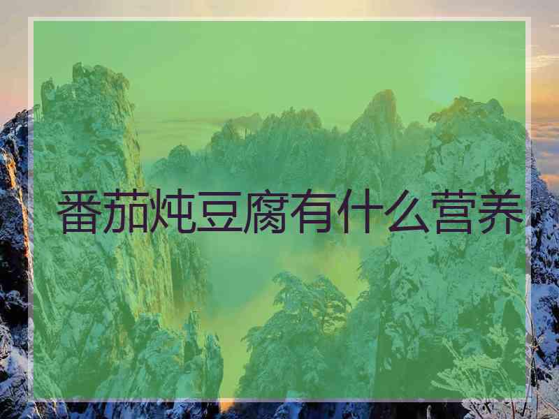 番茄炖豆腐有什么营养