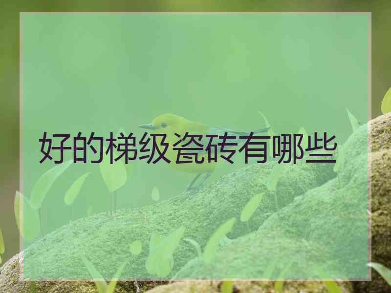 好的梯级瓷砖有哪些