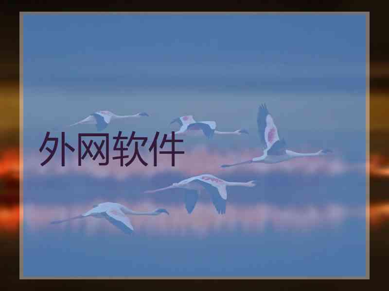外网软件