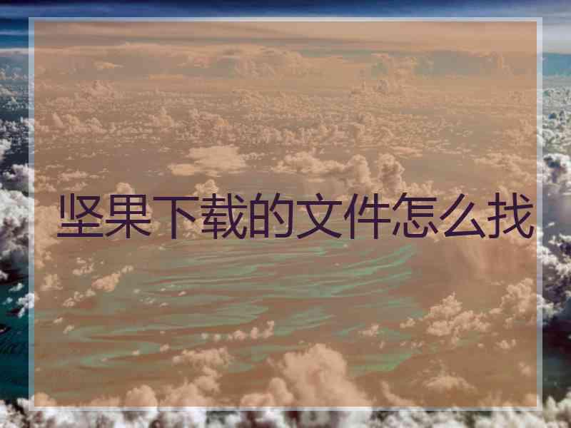 坚果下载的文件怎么找