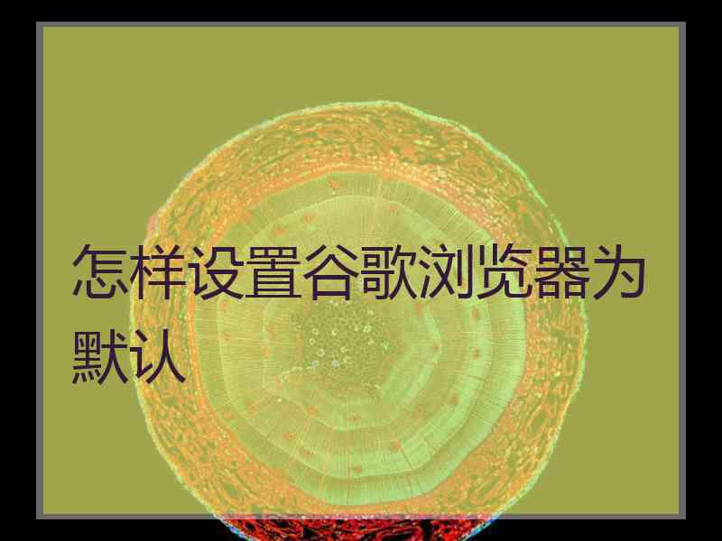 怎样设置谷歌浏览器为默认