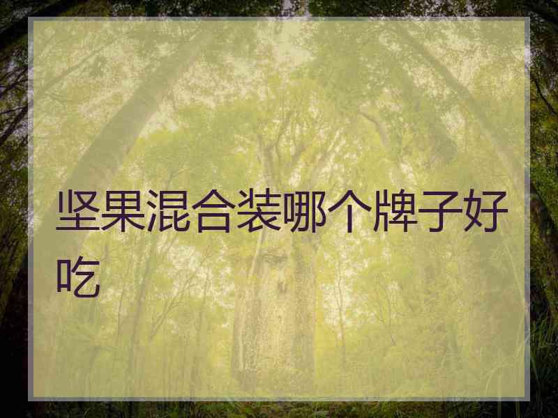 坚果混合装哪个牌子好吃