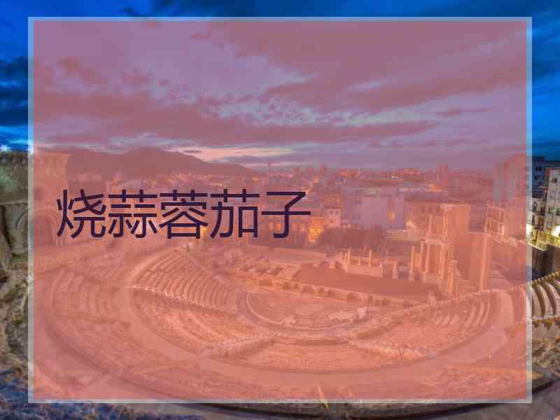 烧蒜蓉茄子