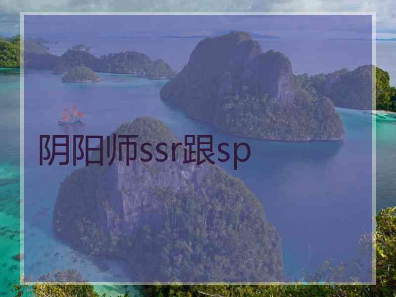 阴阳师ssr跟sp